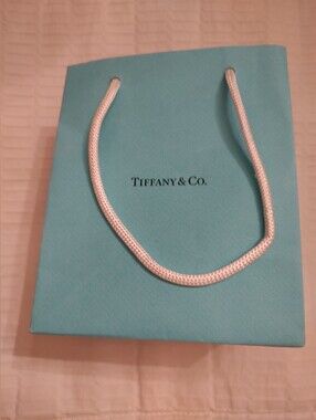 Tiffany & Co. Blue Jewelry Bag with White Rope Handles